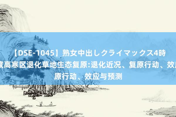 【DSE-1045】熟女中出しクライマックス4時間 4 青藏高寒区退化草地生态复原:退化近况、复原行动、效应与预测