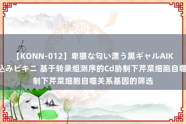 【KONN-012】卑猥な匂い漂う黒ギャルAIKAの中出しグイ込みビキニ 基于转录组测序的Cd胁制下芹菜细胞自噬关系基因的筛选