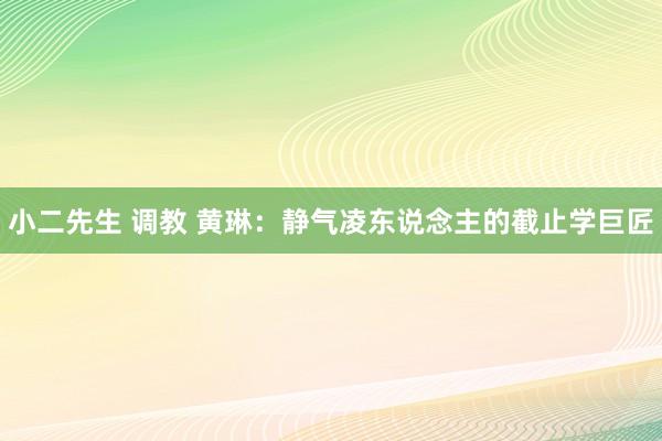 小二先生 调教 黄琳：静气凌东说念主的截止学巨匠