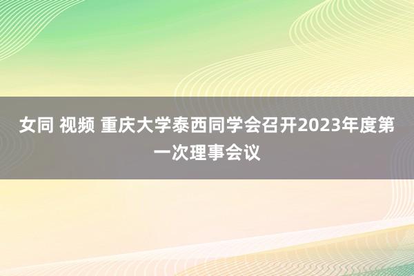 女同 视频 重庆大学泰西同学会召开2023年度第一次理事会议